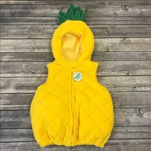 Organic Fruit Pineapple Halloween Costume/Vest
